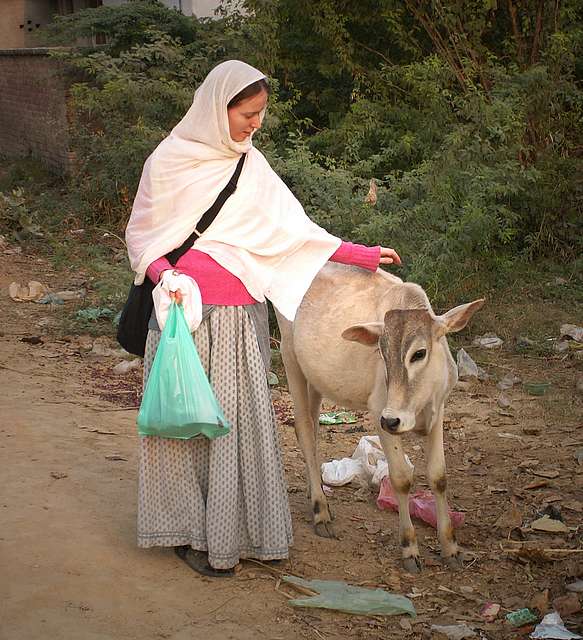 Malati and a calf.