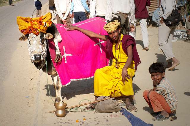 Nandi, the bull of Shiva.