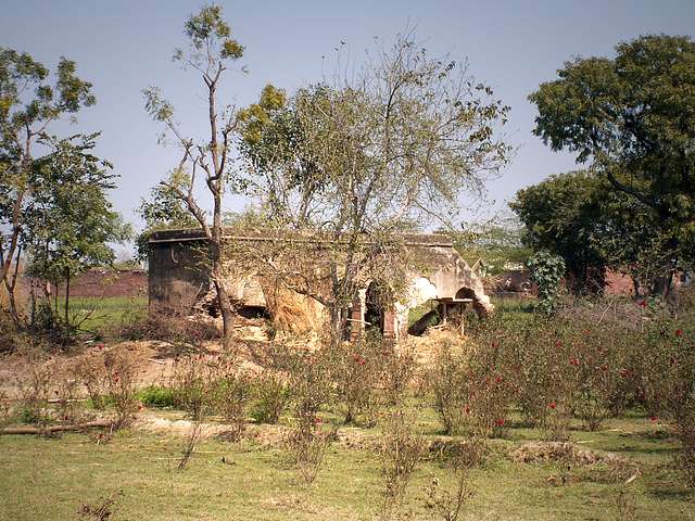 Inside Radharani's garden