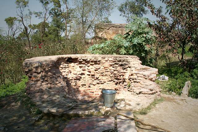 Radha's well