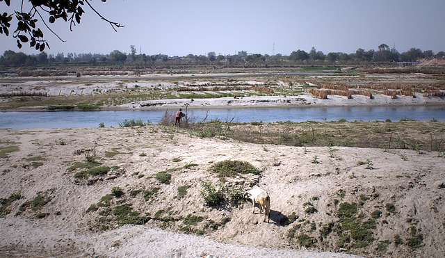 Yamuna