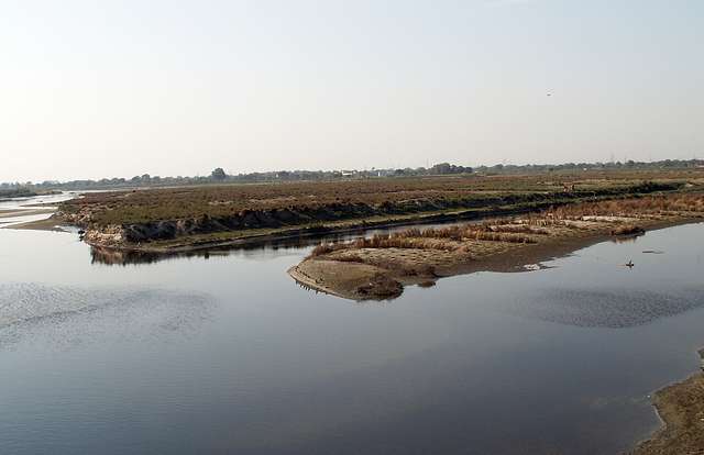 Yamuna