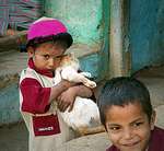 Little girl and her cat