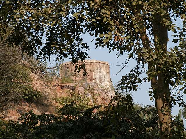 Old Gopal mandir